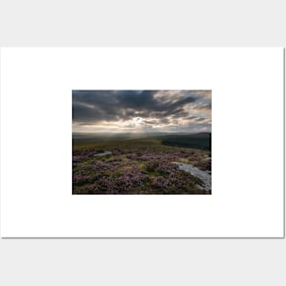 Dartmoor Rays Posters and Art